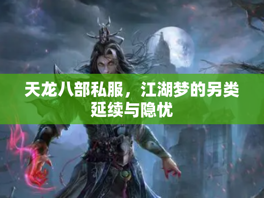 天龙八部私服，江湖梦的另类延续与隐忧