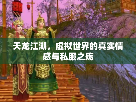 天龙江湖，虚拟世界的真实情感与私服之殇