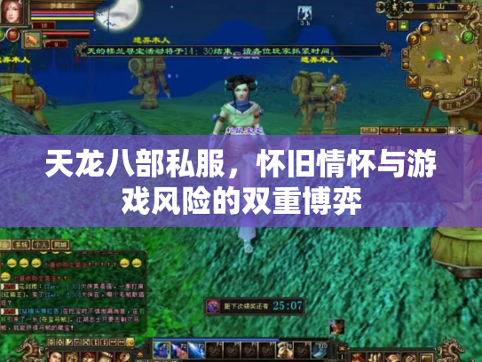 天龙八部私服，怀旧情怀与游戏风险的双重博弈