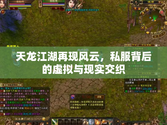 天龙江湖再现风云，私服背后的虚拟与现实交织