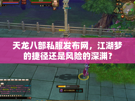 天龙八部私服发布网，江湖梦的捷径还是风险的深渊？