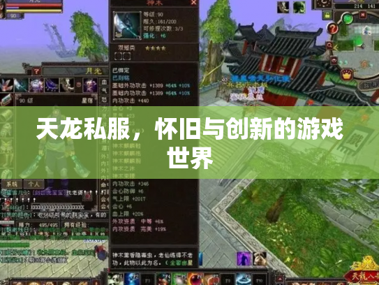 天龙私服，怀旧与创新的游戏世界