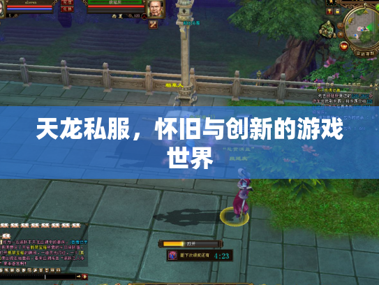 天龙私服，怀旧与创新的游戏世界