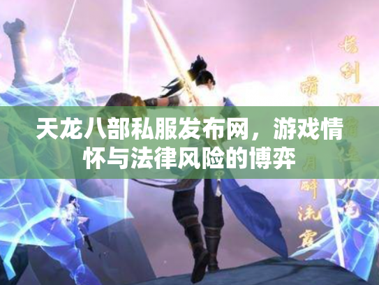 天龙八部私服发布网，游戏情怀与法律风险的博弈