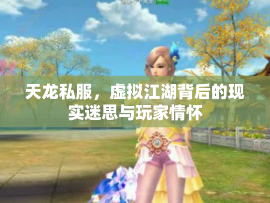 天龙私服，虚拟江湖背后的现实迷思与玩家情怀