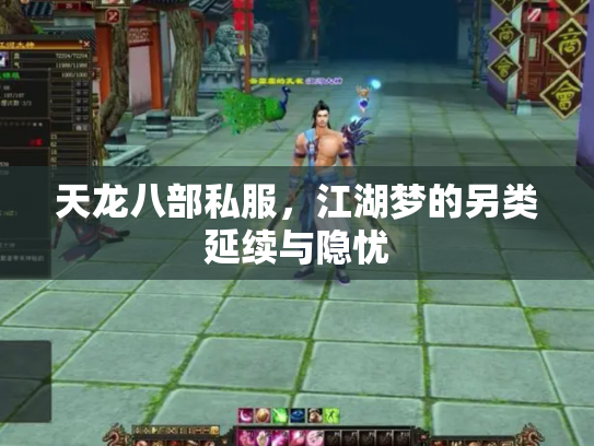 天龙八部私服，江湖梦的另类延续与隐忧