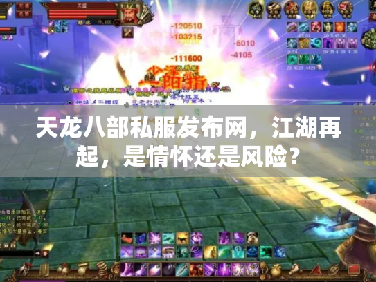 天龙八部私服发布网，江湖再起，是情怀还是风险？