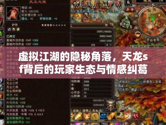 虚拟江湖的隐秘角落，天龙sf背后的玩家生态与情感纠葛