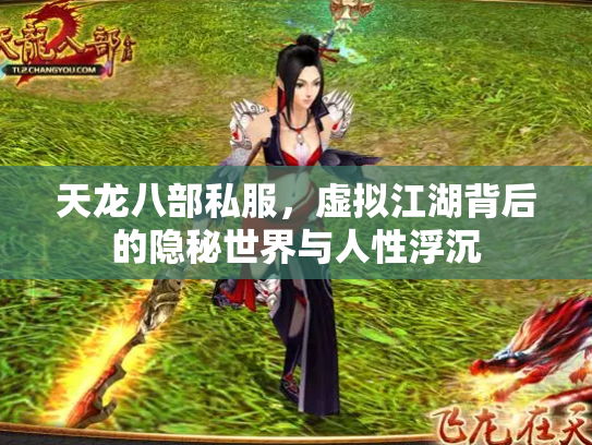 天龙八部私服，虚拟江湖背后的隐秘世界与人性浮沉