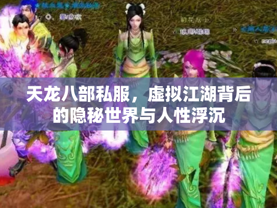 天龙八部私服，虚拟江湖背后的隐秘世界与人性浮沉