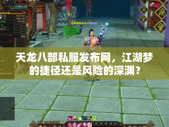 天龙八部私服发布网，江湖梦的捷径还是风险的深渊？