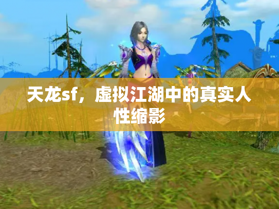 天龙sf，虚拟江湖中的真实人性缩影