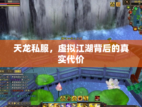 天龙私服，虚拟江湖背后的真实代价