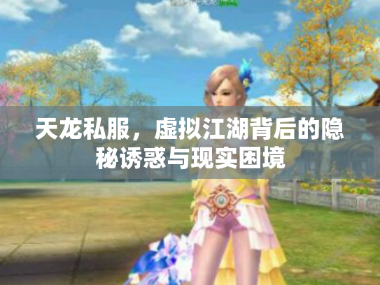 天龙私服，虚拟江湖背后的隐秘诱惑与现实困境