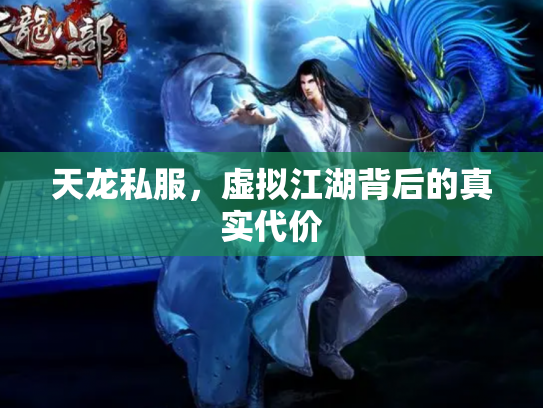 天龙私服，虚拟江湖背后的真实代价