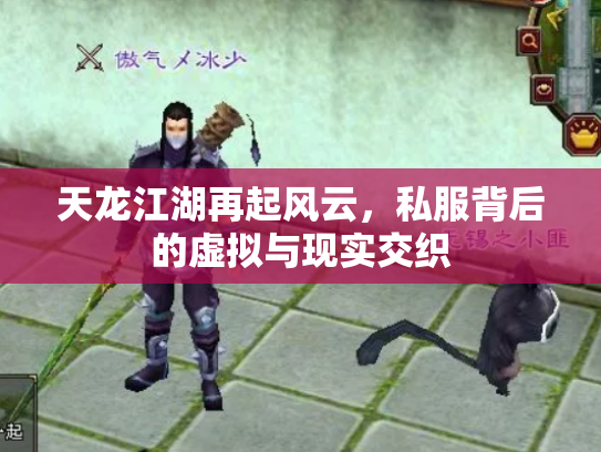 天龙江湖再起风云，私服背后的虚拟与现实交织