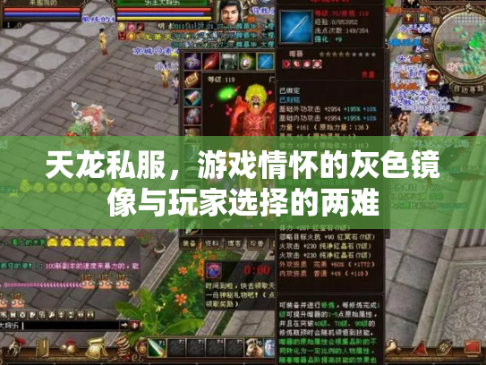 天龙私服，游戏情怀的灰色镜像与玩家选择的两难
