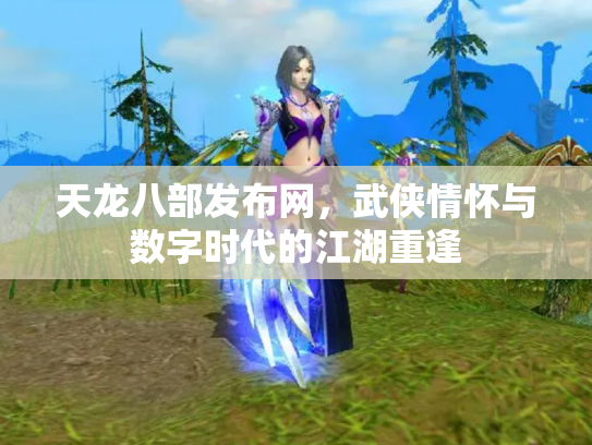 天龙八部发布网，武侠情怀与数字时代的江湖重逢