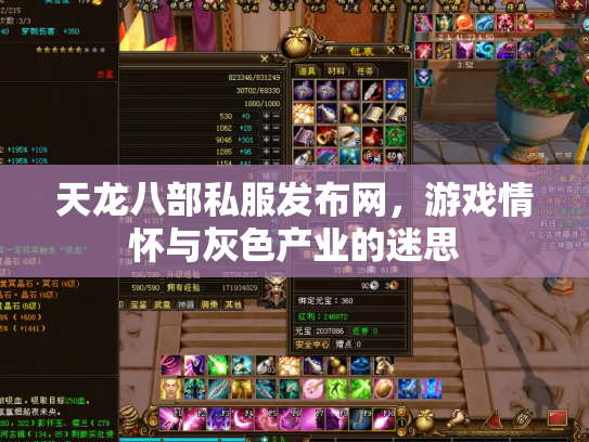 天龙八部私服发布网，游戏情怀与灰色产业的迷思