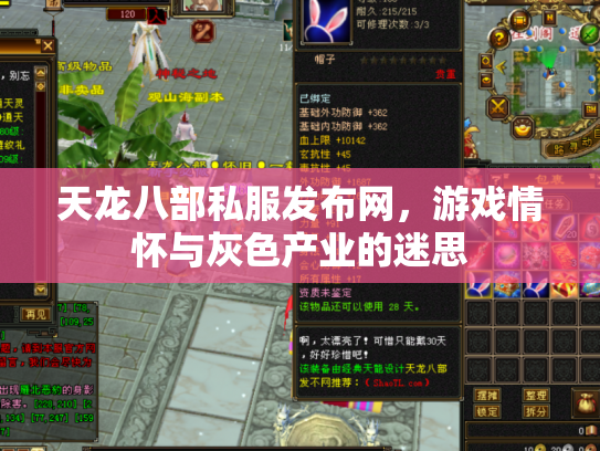 天龙八部私服发布网，游戏情怀与灰色产业的迷思
