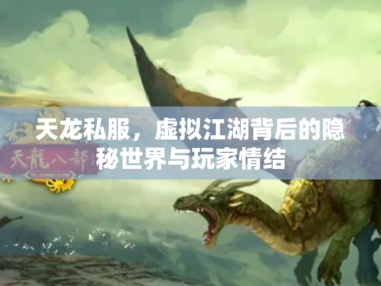 天龙私服，虚拟江湖背后的隐秘世界与玩家情结