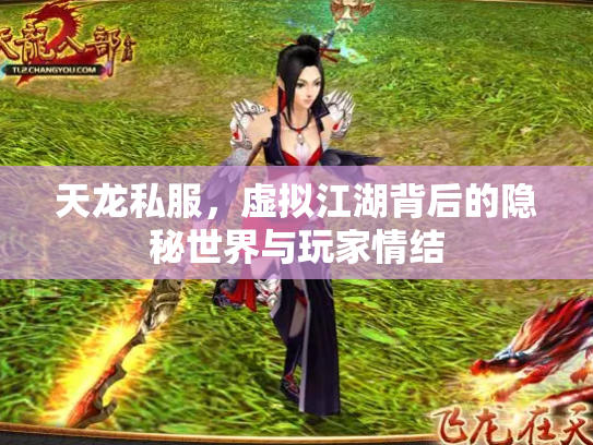 天龙私服，虚拟江湖背后的隐秘世界与玩家情结
