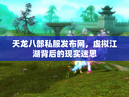 天龙八部私服发布网，虚拟江湖背后的现实迷思