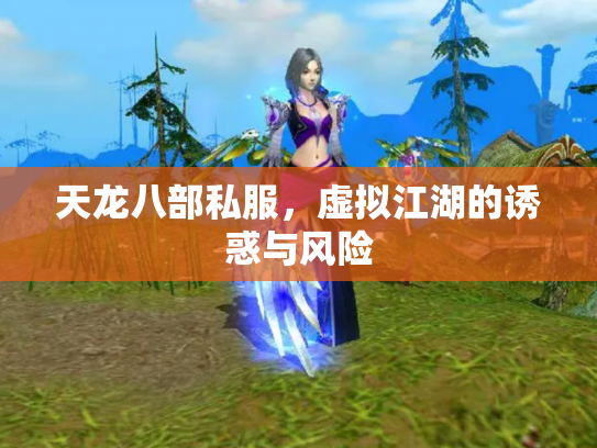 天龙八部私服，虚拟江湖的诱惑与风险