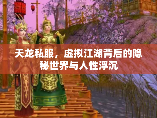 天龙私服，虚拟江湖背后的隐秘世界与人性浮沉