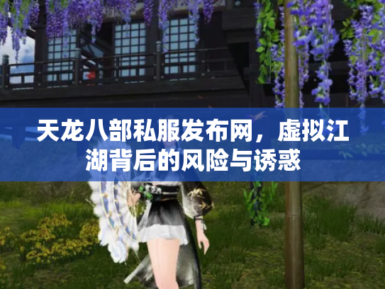 天龙八部私服发布网，虚拟江湖背后的风险与诱惑