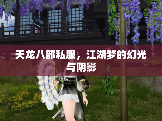 天龙八部私服，江湖梦的幻光与阴影