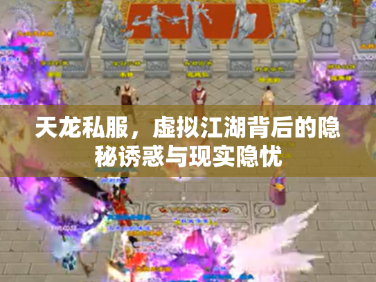 天龙私服，虚拟江湖背后的隐秘诱惑与现实隐忧