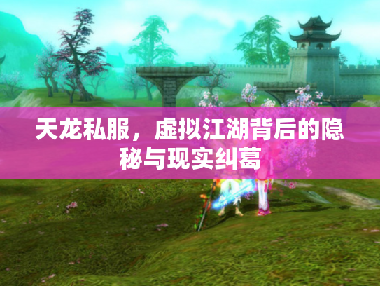 天龙私服，虚拟江湖背后的隐秘与现实纠葛