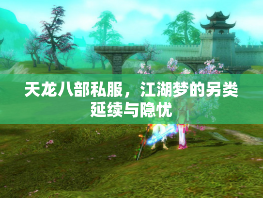 天龙八部私服，江湖梦的另类延续与隐忧