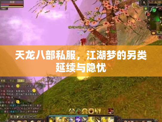 天龙八部私服，江湖梦的另类延续与隐忧