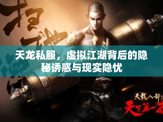 天龙私服，虚拟江湖背后的隐秘诱惑与现实隐忧