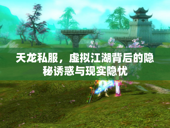 天龙私服，虚拟江湖背后的隐秘诱惑与现实隐忧