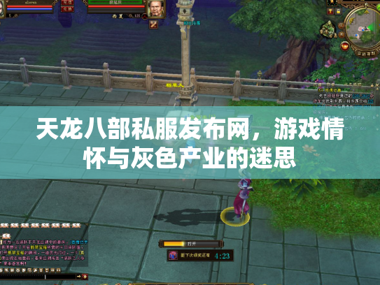 天龙八部私服发布网，游戏情怀与灰色产业的迷思