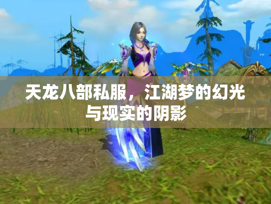 天龙八部私服，江湖梦的幻光与现实的阴影