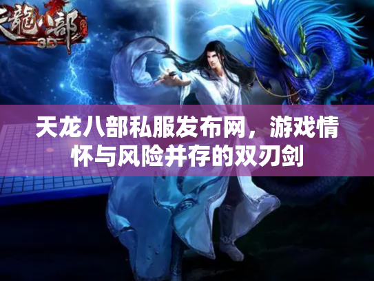天龙八部私服发布网，游戏情怀与风险并存的双刃剑