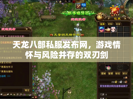 天龙八部私服发布网，游戏情怀与风险并存的双刃剑
