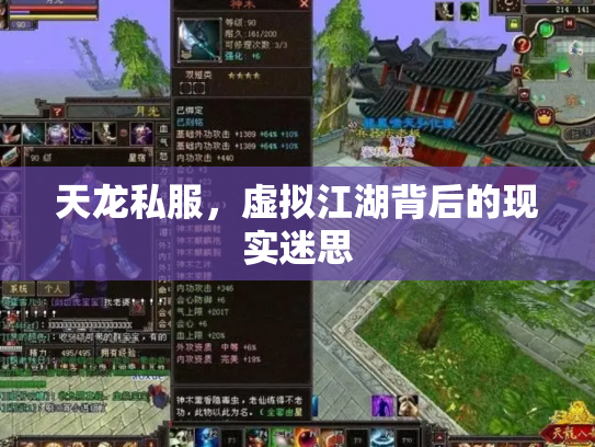 天龙私服，虚拟江湖背后的现实迷思