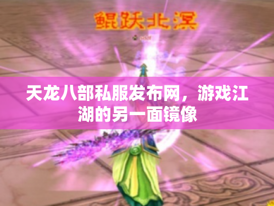 天龙八部私服发布网，游戏江湖的另一面镜像