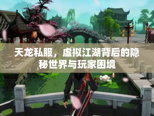 天龙私服，虚拟江湖背后的隐秘世界与玩家困境