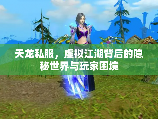 天龙私服，虚拟江湖背后的隐秘世界与玩家困境