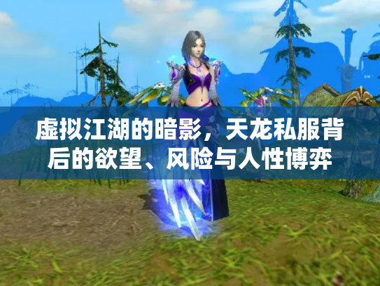 虚拟江湖的暗影，天龙私服背后的欲望、风险与人性博弈