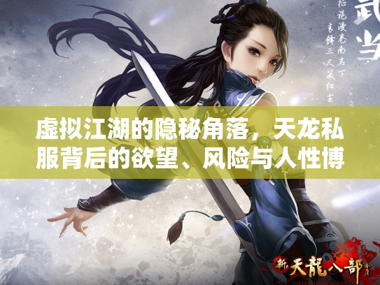 虚拟江湖的隐秘角落，天龙私服背后的欲望、风险与人性博弈