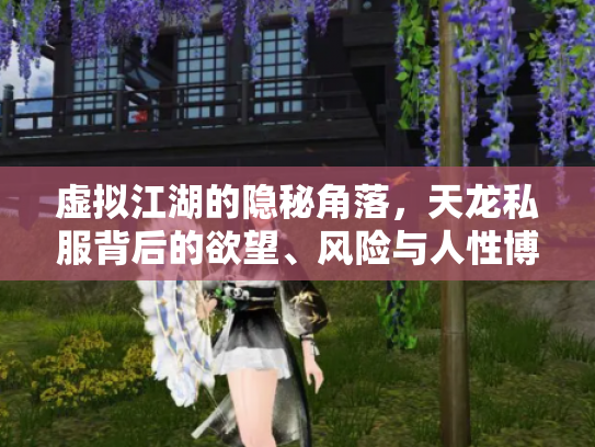虚拟江湖的隐秘角落，天龙私服背后的欲望、风险与人性博弈