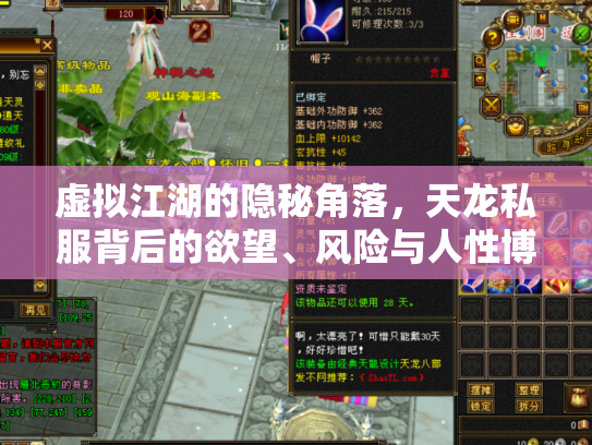 虚拟江湖的隐秘角落，天龙私服背后的欲望、风险与人性博弈