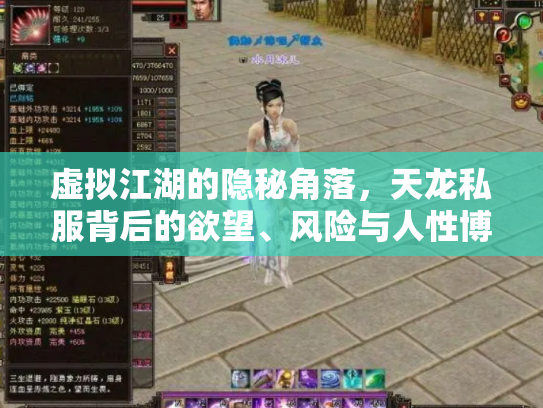 虚拟江湖的隐秘角落，天龙私服背后的欲望、风险与人性博弈